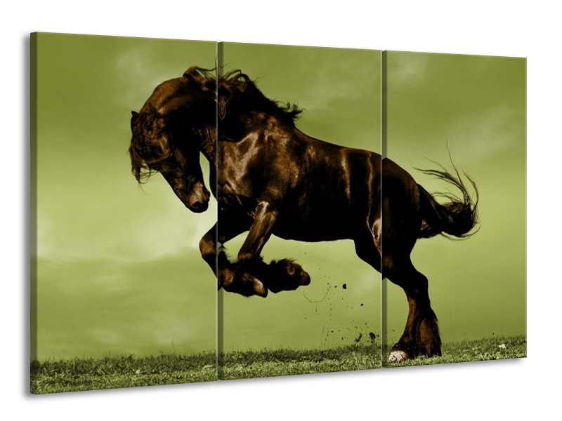 Glas schilderij Paard | Bruin, Groen, Zwart | 165x100cm 3Luik