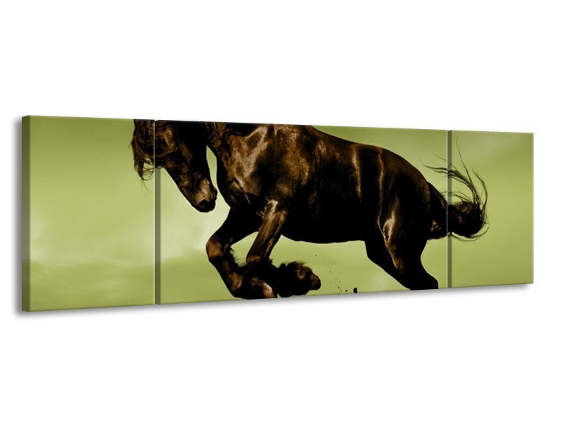 Glas schilderij Paard | Bruin, Groen, Zwart | 170x50cm 3Luik