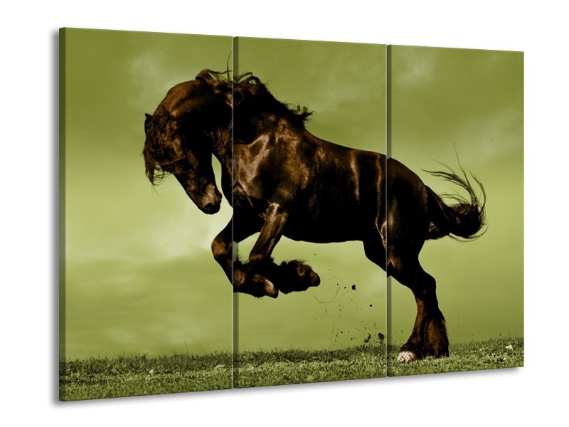 Canvas schilderij Paard | Bruin, Groen, Zwart | 90x60cm 3Luik