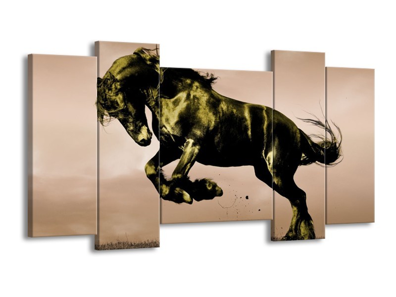 Glas schilderij Paard | Bruin, Groen, Zwart | 120x65cm 5Luik