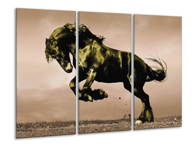 Canvas schilderij Paard | Bruin, Groen, Zwart | 120x80cm 3Luik