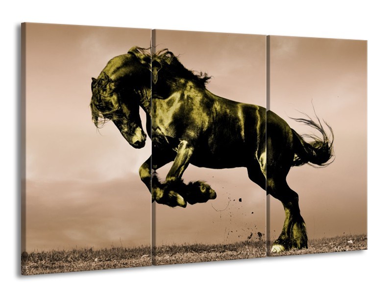 Canvas schilderij Paard | Bruin, Groen, Zwart | 165x100cm 3Luik