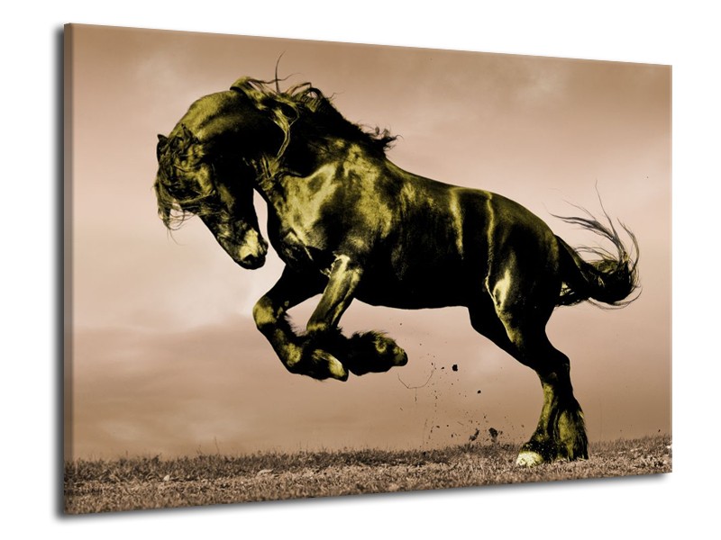 Canvas schilderij Paard | Bruin, Groen, Zwart | 70x50cm 1Luik