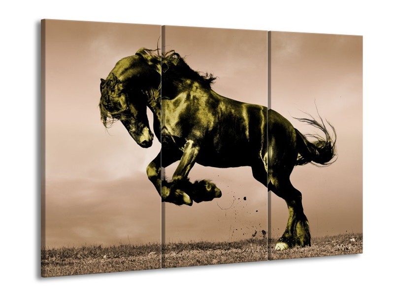Canvas schilderij Paard | Bruin, Groen, Zwart | 90x60cm 3Luik