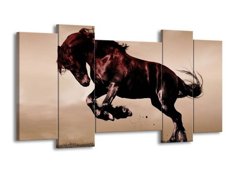 Canvas schilderij Paard | Bruin, Grijs, Zwart | 120x65 5Luik