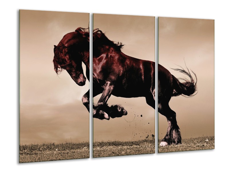 Canvas schilderij Paard | Bruin, Grijs, Zwart | 120x80cm 3Luik