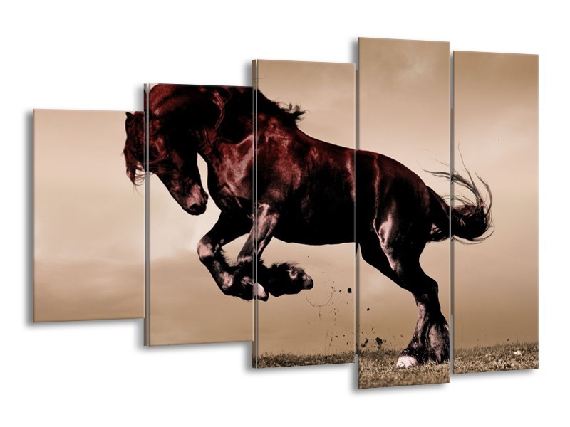 Glas schilderij Paard | Bruin, Grijs, Zwart | 150x100cm 5Luik