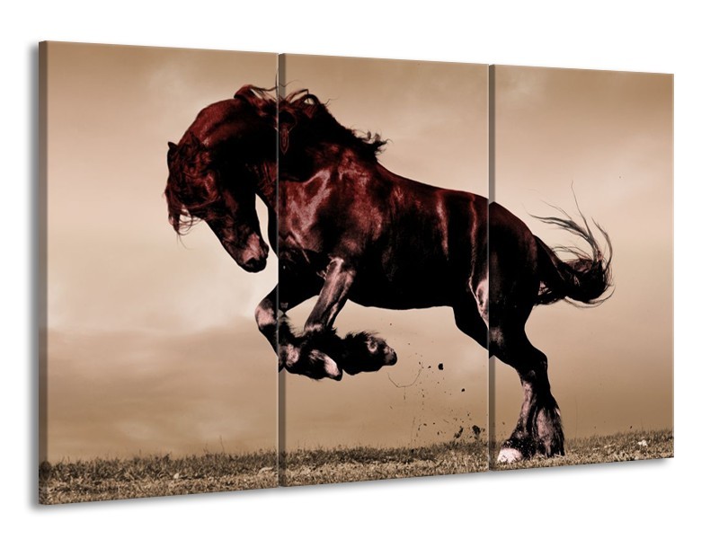 Glas schilderij Paard | Bruin, Grijs, Zwart | 165x100cm 3Luik