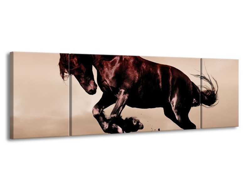 Glas schilderij Paard | Bruin, Grijs, Zwart | 170x50cm 3Luik