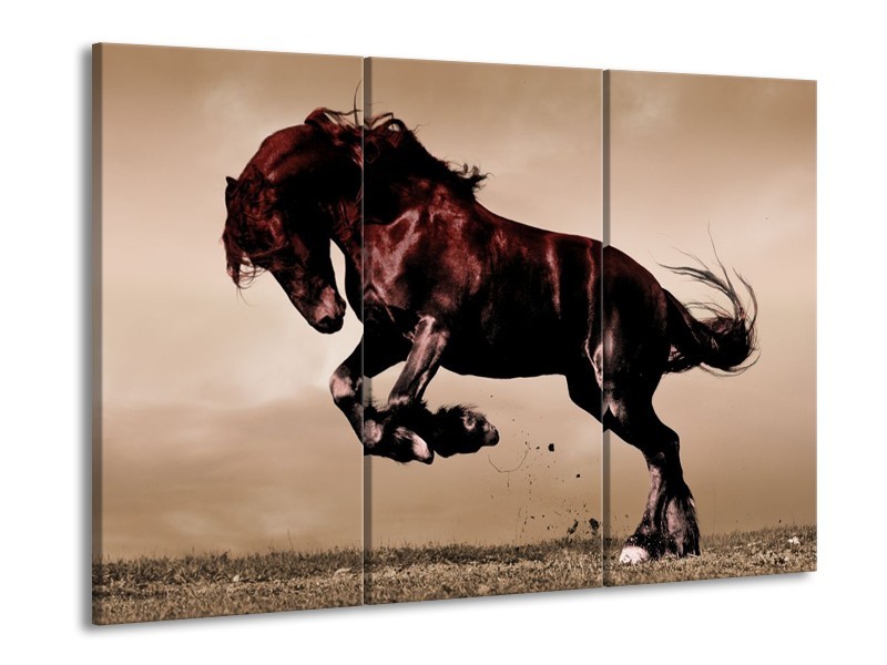 Canvas schilderij Paard | Bruin, Grijs, Zwart | 90x60cm 3Luik