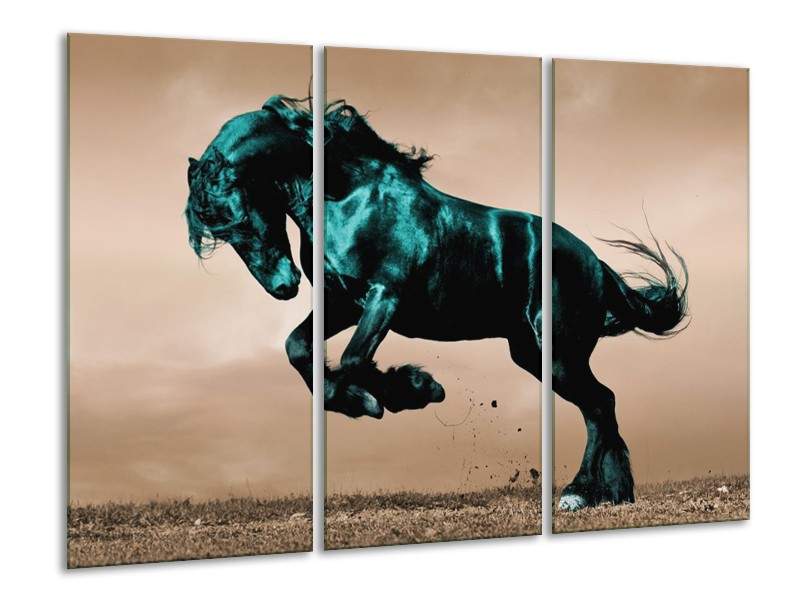 Canvas schilderij Paard | Bruin, Blauw, Zwart | 120x80cm 3Luik