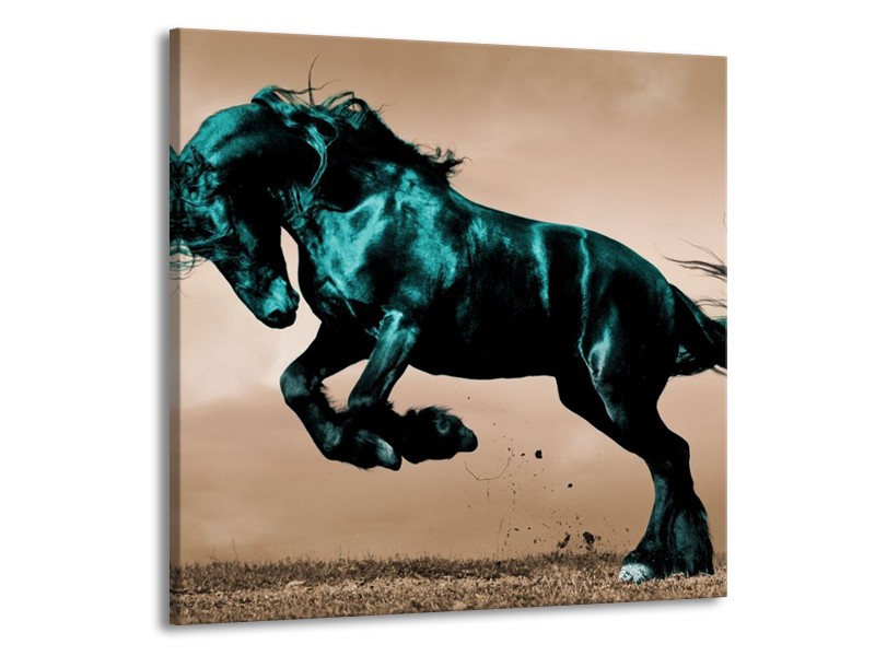 Canvas schilderij Paard | Bruin, Blauw, Zwart | 50x50cm 1Luik