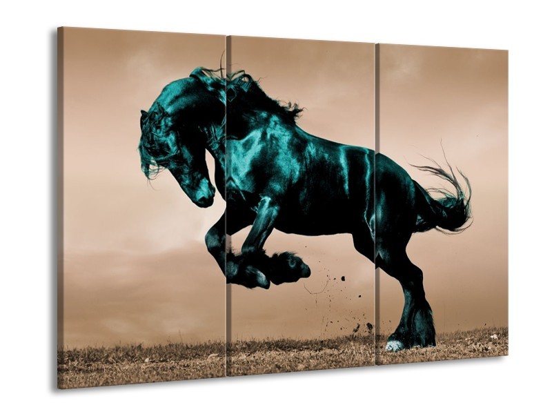 Canvas schilderij Paard | Bruin, Blauw, Zwart | 90x60cm 3Luik