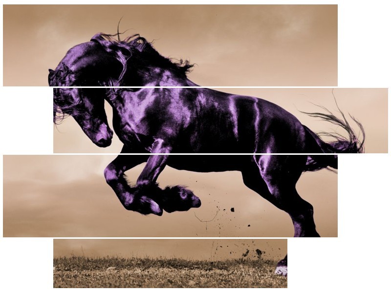 Glas schilderij Paard | Paars, Grijs, Zwart | 115x85cm 4Luik