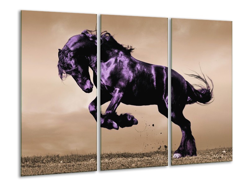 Canvas schilderij Paard | Paars, Grijs, Zwart | 120x80cm 3Luik