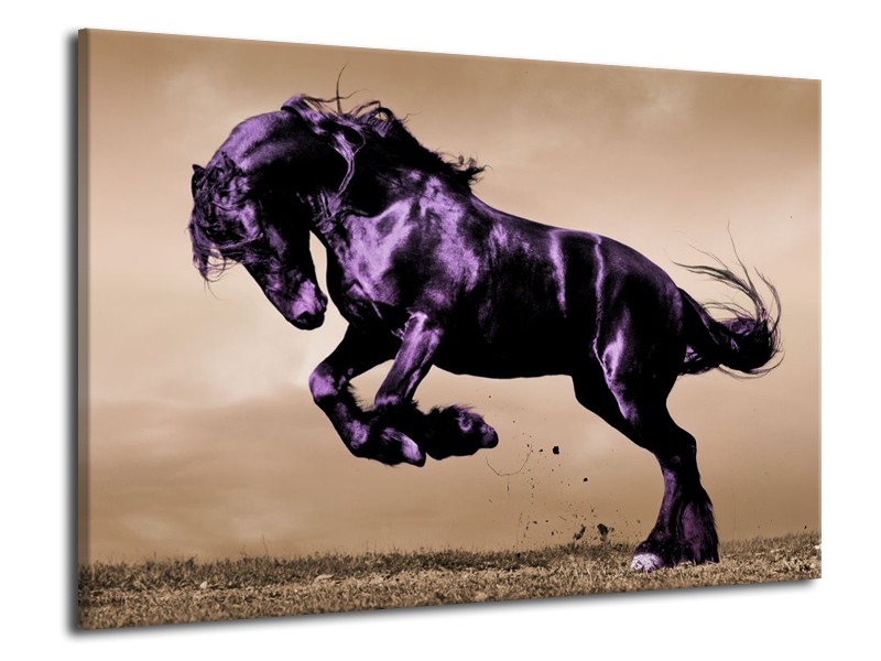 Canvas schilderij Paard | Paars, Grijs, Zwart | 70x50cm 1Luik