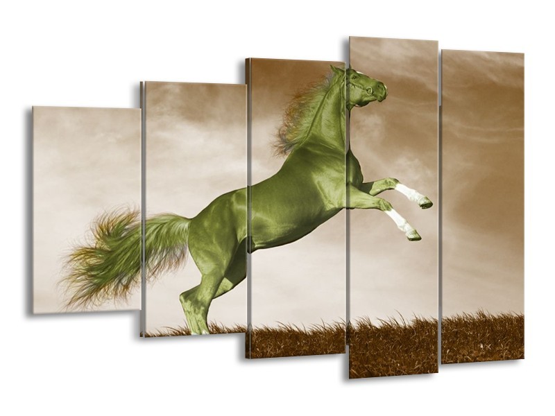 Canvas schilderij Paard | Groen, Bruin | 150x100cm 5Luik