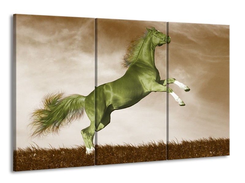 Canvas schilderij Paard | Groen, Bruin | 165x100cm 3Luik