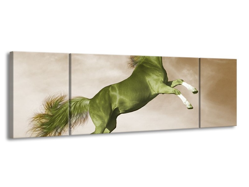 Glas schilderij Paard | Groen, Bruin | 170x50cm 3Luik