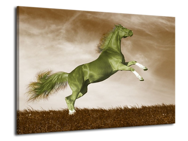 Canvas schilderij Paard | Groen, Bruin | 70x50cm 1Luik