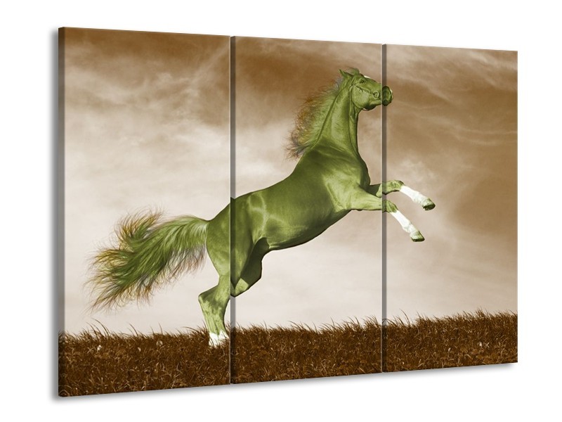 Canvas schilderij Paard | Groen, Bruin | 90x60cm 3Luik
