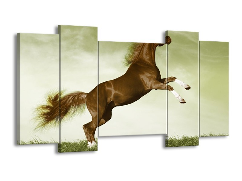 Glas schilderij Paard | Bruin, Groen, Zwart | 120x65cm 5Luik