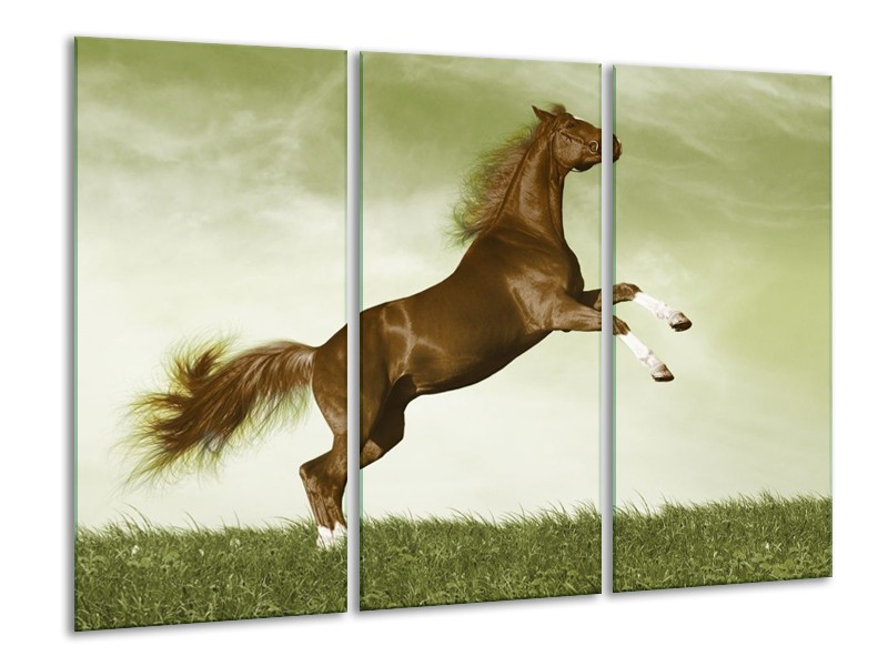 Canvas schilderij Paard | Bruin, Groen, Zwart | 120x80cm 3Luik