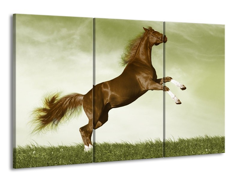 Glas schilderij Paard | Bruin, Groen, Zwart | 165x100cm 3Luik