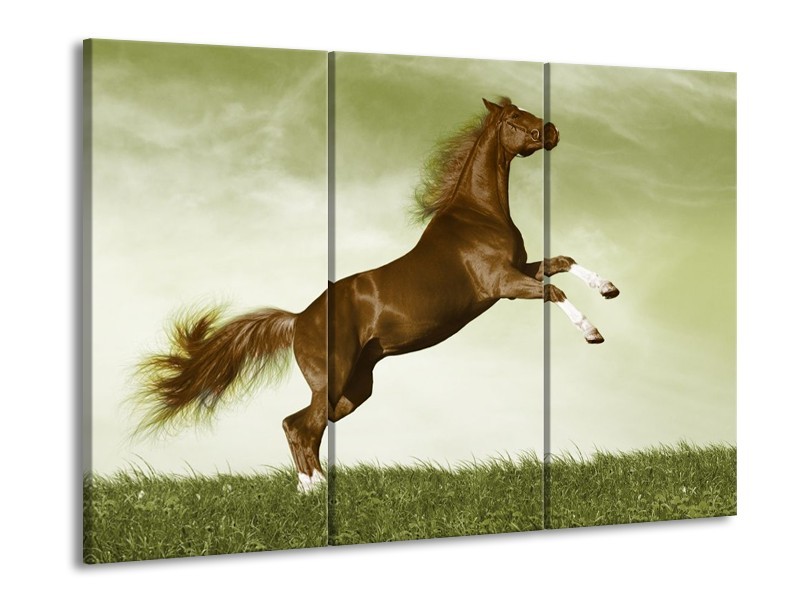 Canvas schilderij Paard | Bruin, Groen, Zwart | 90x60cm 3Luik