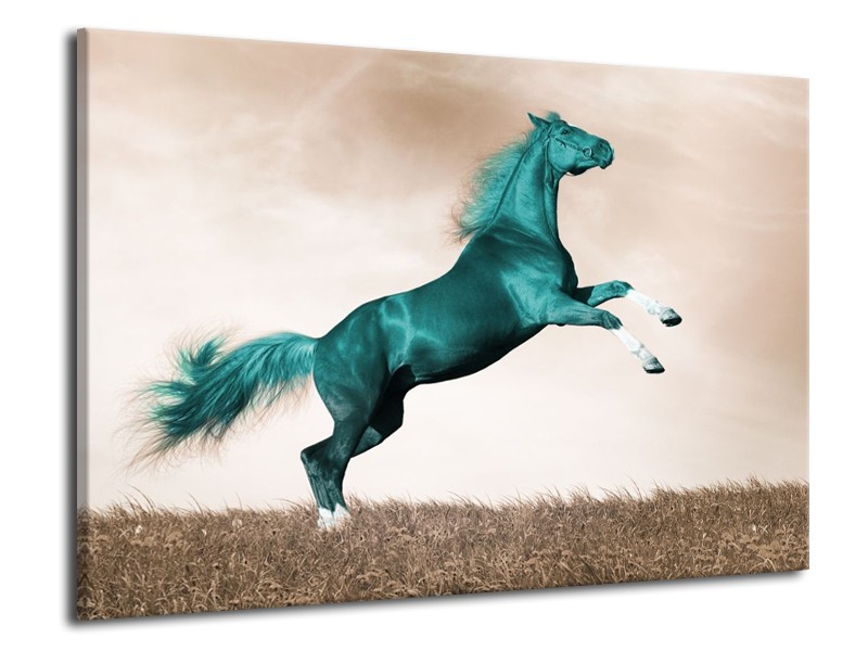 Canvas schilderij Paard | Groen, Sepia | 70x50cm 1Luik