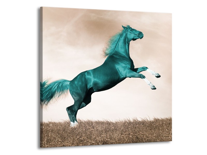 Glas schilderij Paard | Groen, Sepia | 70x70cm 1Luik