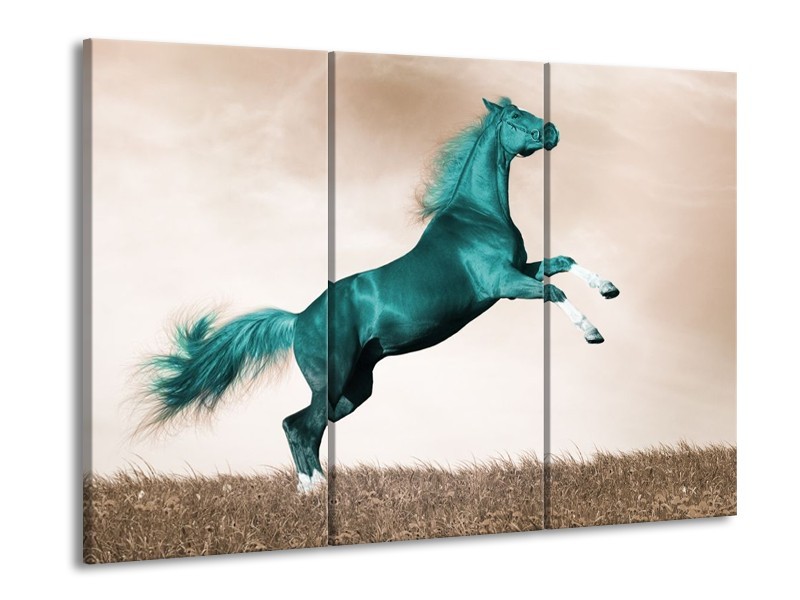 Canvas schilderij Paard | Groen, Sepia | 90x60cm 3Luik