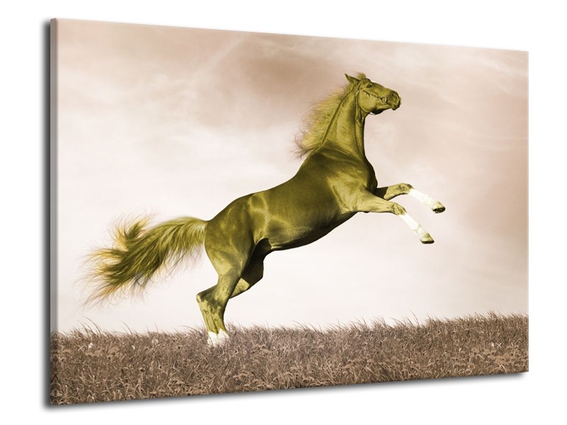 Canvas schilderij Paard | Sepia, Groen, Goud | 70x50cm 1Luik