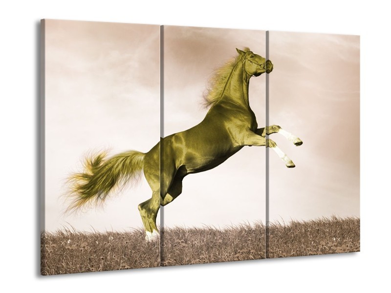 Canvas schilderij Paard | Sepia, Groen, Goud | 90x60cm 3Luik