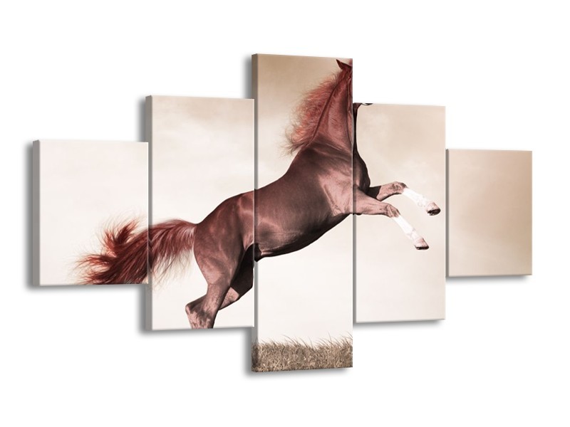 Canvas schilderij Paard | Sepia, Bruin, Rood | 125x70cm 5Luik