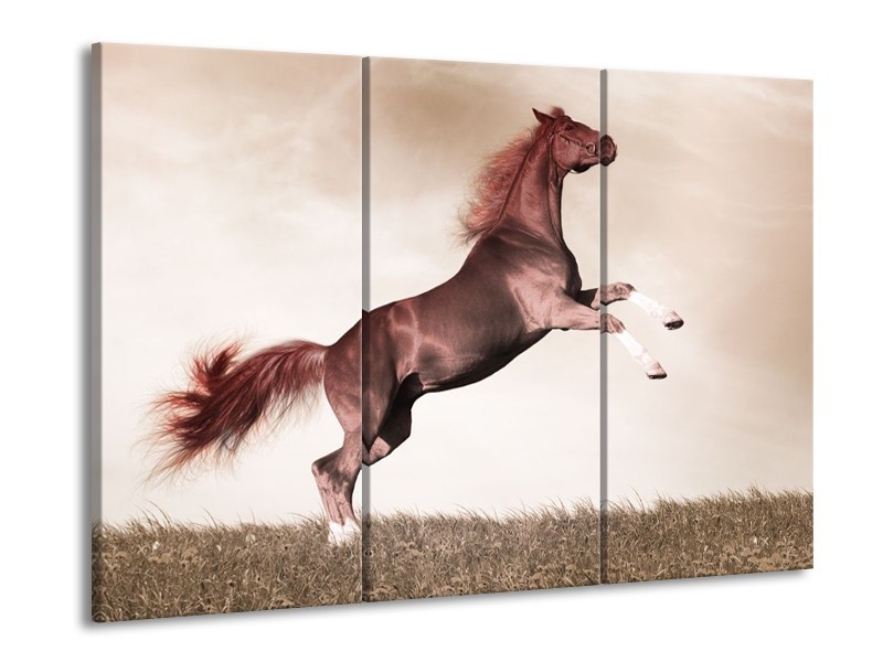 Canvas schilderij Paard | Sepia, Bruin, Rood | 90x60cm 3Luik
