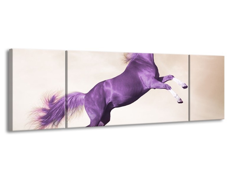 Glas schilderij Paard | Paars, Sepia | 170x50cm 3Luik