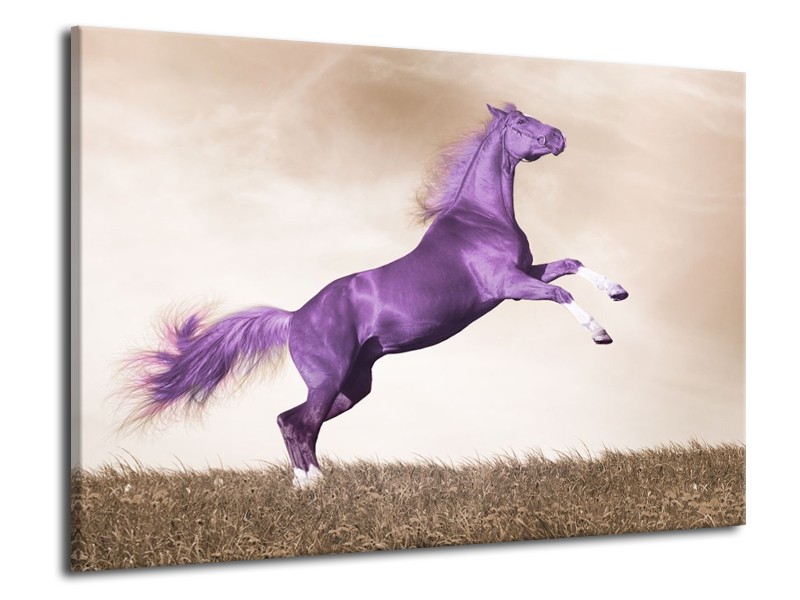 Canvas schilderij Paard | Paars, Sepia | 70x50cm 1Luik