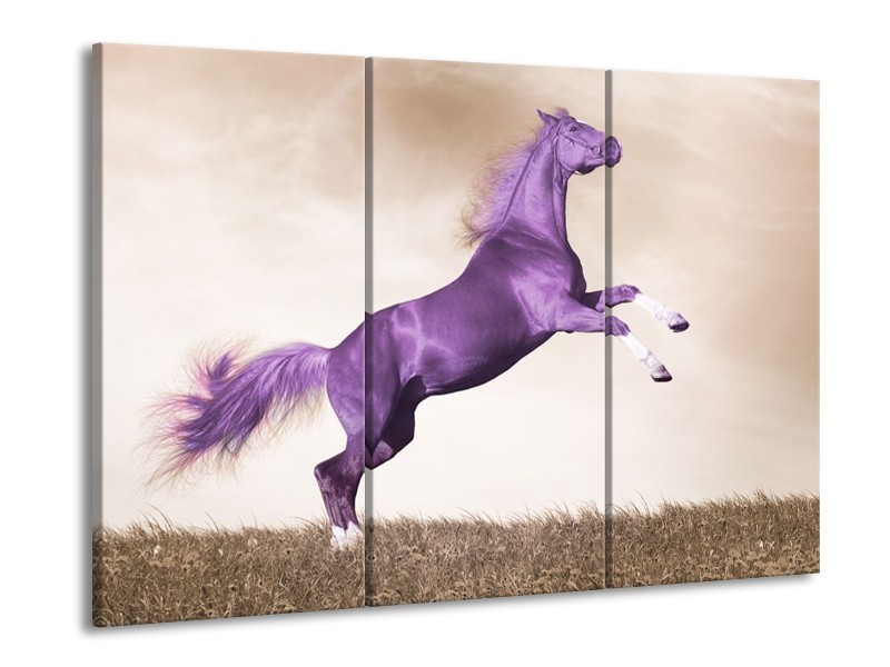 Canvas schilderij Paard | Paars, Sepia | 90x60cm 3Luik