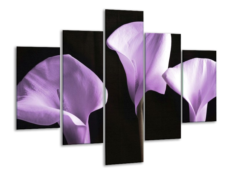 Canvas schilderij Bloem | Paars, Wit | 100x70cm 5Luik