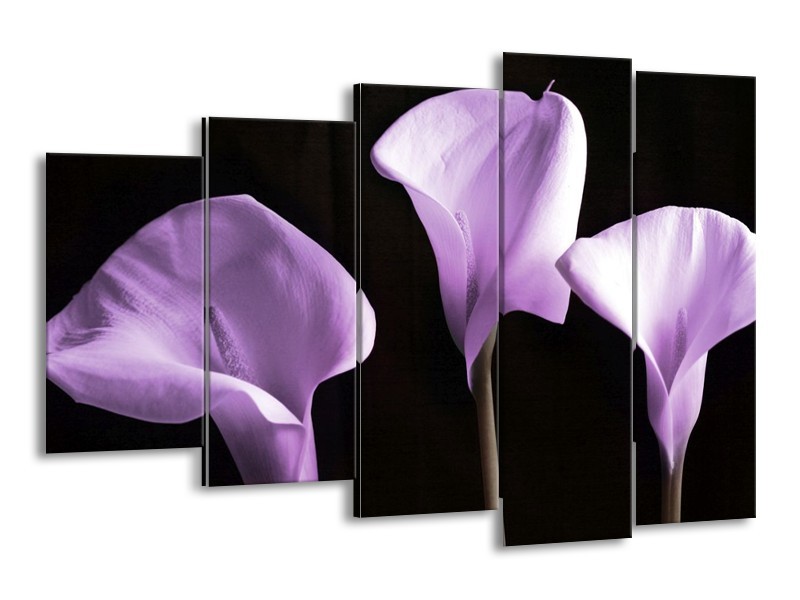 Canvas schilderij Bloem | Paars, Wit | 150x100cm 5Luik