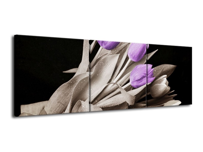 Canvas schilderij Tulp | Paars, Zwart, Grijs | 120x40cm 3Luik