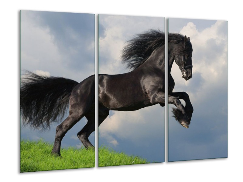Canvas schilderij Paard | Zwart, Groen, Wit | 120x80cm 3Luik