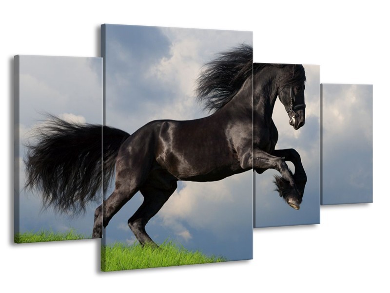 Glas schilderij Paard | Zwart, Groen, Wit | 160x90cm 4Luik