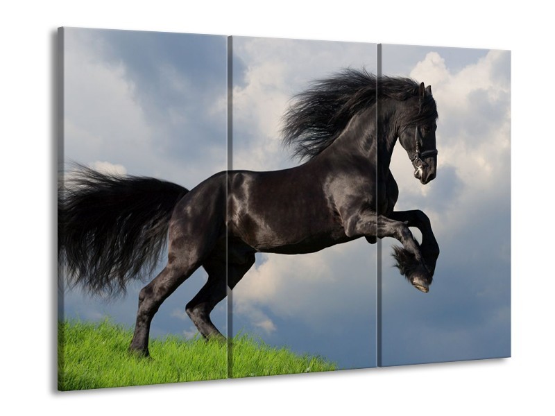 Glas schilderij Paard | Zwart, Groen, Wit | 90x60cm 3Luik