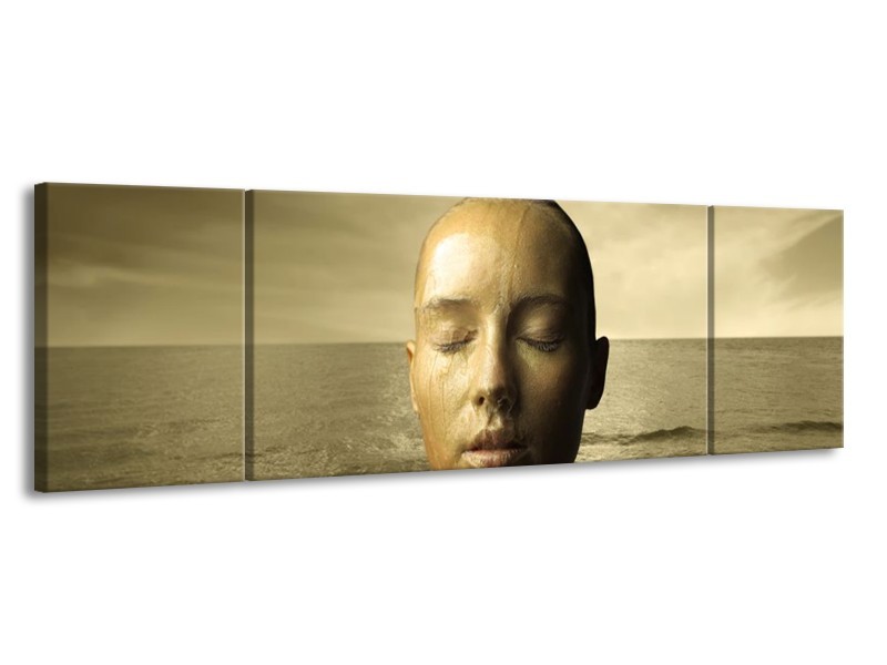 Canvas schilderij Gezicht | Grijs, Wit, Bruin | 170x50cm 3Luik