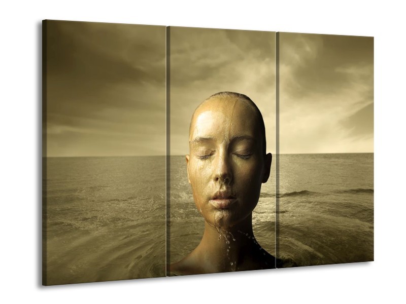 Canvas schilderij Gezicht | Grijs, Wit, Bruin | 90x60cm 3Luik