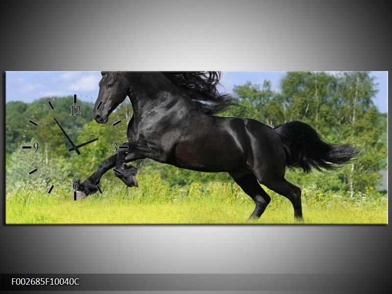Klok schilderij Paard | Zwart, Groen, Blauw | 100x40cm 1Luik