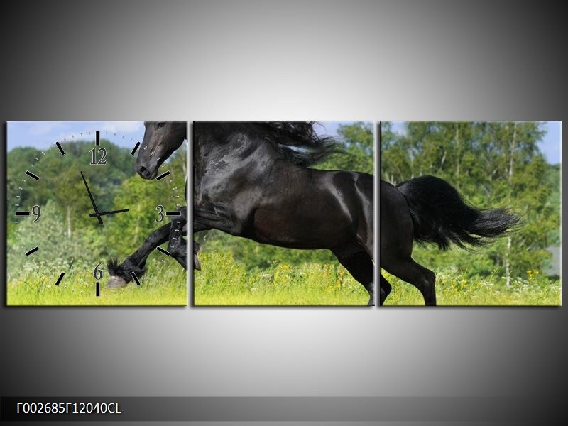 Klok schilderij Paard | Zwart, Groen, Blauw | 120x40cm 3Luik