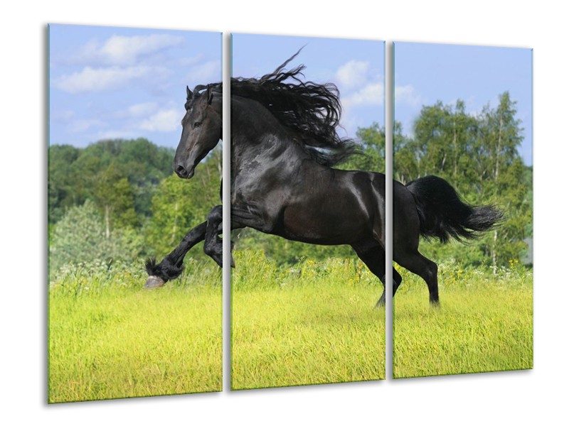 Canvas schilderij Paard | Zwart, Groen, Blauw | 120x80cm 3Luik